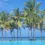 testimonial of Sandy Johnston Schwartz